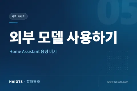 HA 음성 비서에서 외부 모델을 사용하는 방법